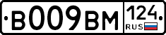 %D0%92009%D0%92%D0%9C124