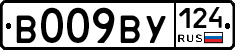 %D0%92009%D0%92%D0%A3124