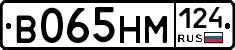 %D0%92065%D0%9D%D0%9C124