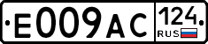 %D0%95009%D0%90%D0%A1124