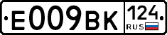 %D0%95009%D0%92%D0%9A124
