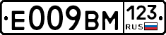 %D0%95009%D0%92%D0%9C123