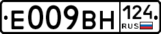 %D0%95009%D0%92%D0%9D124