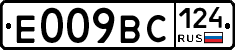 %D0%95009%D0%92%D0%A1124