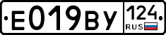 %D0%95019%D0%92%D0%A3124