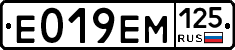 %D0%95019%D0%95%D0%9C125