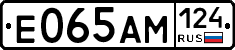 %D0%95065%D0%90%D0%9C124