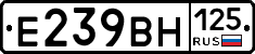 %D0%95239%D0%92%D0%9D125