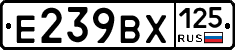 %D0%95239%D0%92%D0%A5125
