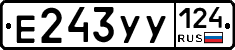 %D0%95243%D0%A3%D0%A3124