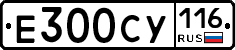 %D0%95300%D0%A1%D0%A3116