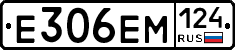 %D0%95306%D0%95%D0%9C124