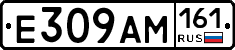 %D0%95309%D0%90%D0%9C161