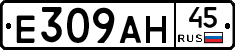 %D0%95309%D0%90%D0%9D45