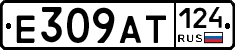 %D0%95309%D0%90%D0%A2124