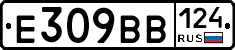 %D0%95309%D0%92%D0%92124