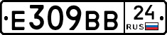%D0%95309%D0%92%D0%9224