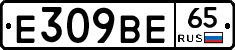 %D0%95309%D0%92%D0%9565