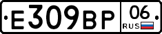 %D0%95309%D0%92%D0%A006
