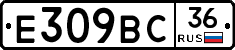 %D0%95309%D0%92%D0%A136