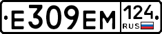 %D0%95309%D0%95%D0%9C124
