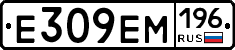 %D0%95309%D0%95%D0%9C196