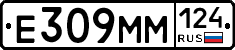 %D0%95309%D0%9C%D0%9C124