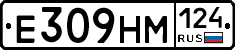 %D0%95309%D0%9D%D0%9C124