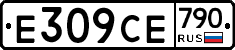 %D0%95309%D0%A1%D0%95790