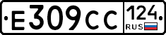 %D0%95309%D0%A1%D0%A1124