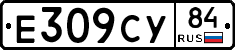 %D0%95309%D0%A1%D0%A384