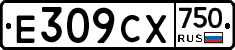 %D0%95309%D0%A1%D0%A5750