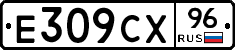 %D0%95309%D0%A1%D0%A596