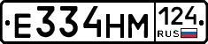 %D0%95334%D0%9D%D0%9C124