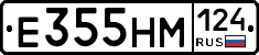 %D0%95355%D0%9D%D0%9C124