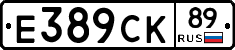 %D0%95389%D0%A1%D0%9A89