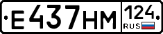 %D0%95437%D0%9D%D0%9C124