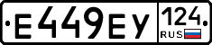 %D0%95449%D0%95%D0%A3124