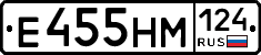 %D0%95455%D0%9D%D0%9C124