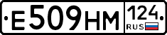 %D0%95509%D0%9D%D0%9C124