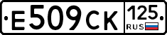 %D0%95509%D0%A1%D0%9A125
