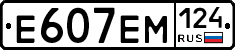 %D0%95607%D0%95%D0%9C124