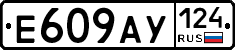 %D0%95609%D0%90%D0%A3124