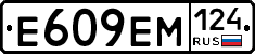 %D0%95609%D0%95%D0%9C124