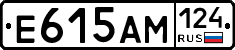 %D0%95615%D0%90%D0%9C124