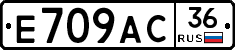 %D0%95709%D0%90%D0%A136