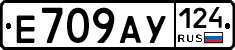 %D0%95709%D0%90%D0%A3124
