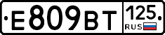 %D0%95809%D0%92%D0%A2125