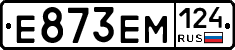 %D0%95873%D0%95%D0%9C124