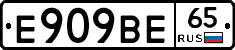 %D0%95909%D0%92%D0%9565